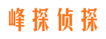 顺河找人公司